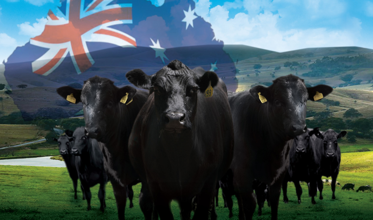 /uploads/image/2020/01/07/0107107.png 0107107.png