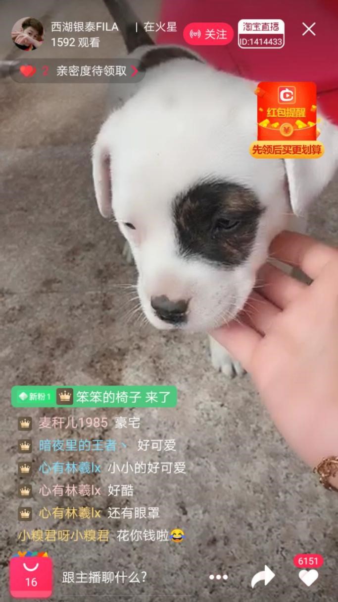 /uploads/image/2020/02/14/0214202.jpg /uploads/image/2020/02/14/0214202.jpg