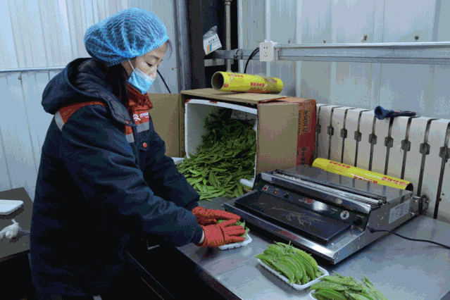 /uploads/image/2020/02/21/0221707.gif /uploads/image/2020/02/21/0221707.gif