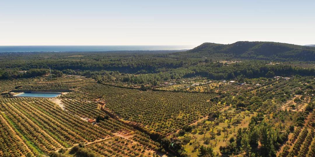 /uploads/image/2020/05/15/商8.jpg 商8.jpg