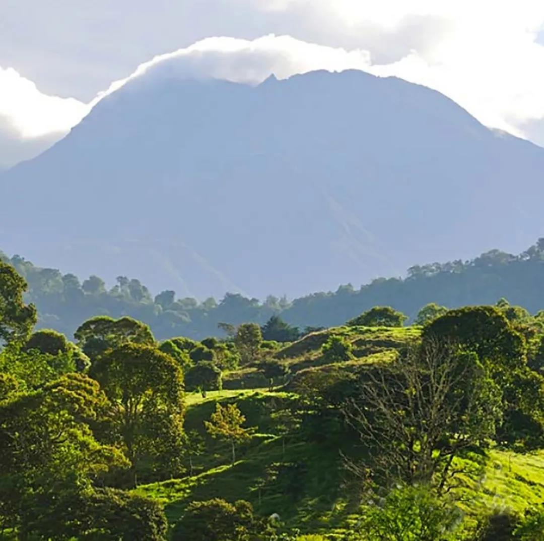 /uploads/image/2020/05/29/珊2.jpg 珊2.jpg