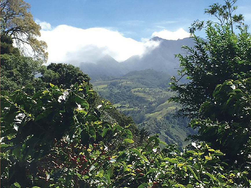 /uploads/image/2020/05/29/珊4.png 珊4.png