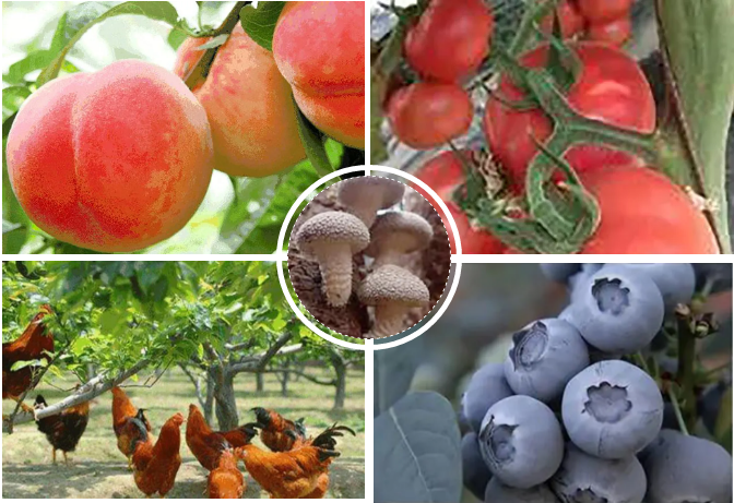 /uploads/image/2020/06/18/大商.png 大商.png