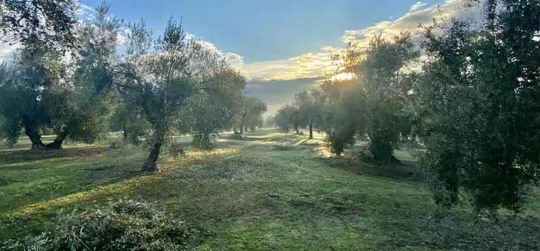 /uploads/image/2020/06/18/美2.jpg 美2.jpg